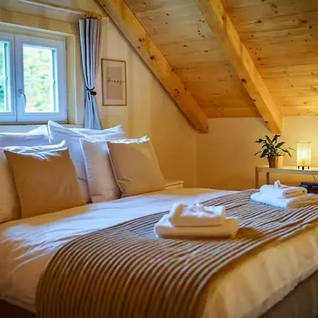 Magical Wellness Trvalka *